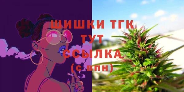 шишки Инта