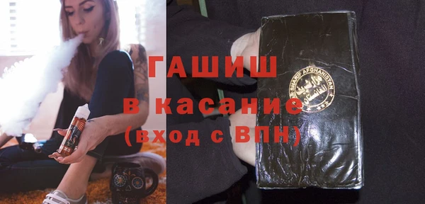 шишки Инта