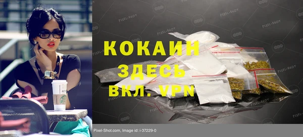 шишки Инта