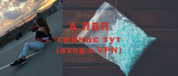 шишки Инта