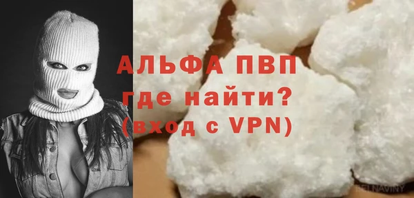 шишки Инта