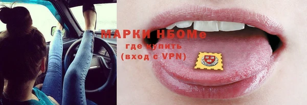 крисы Инсар