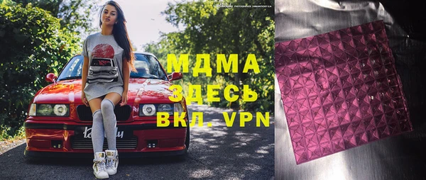шишки Инта