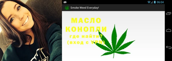крисы Инсар