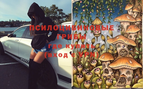 крисы Инсар