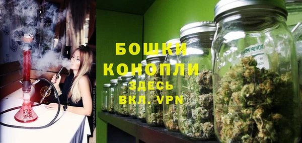 шишки Инта