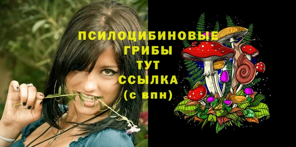 ECSTASY Иннополис