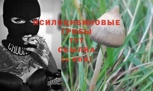шишки Инта