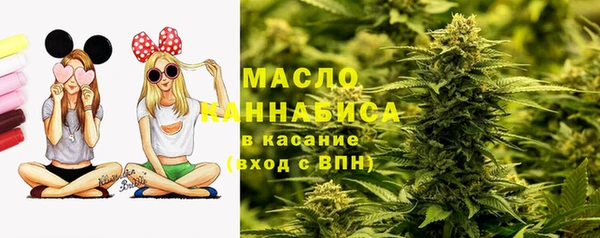 крисы Инсар