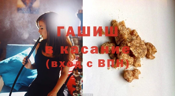 шишки Инта