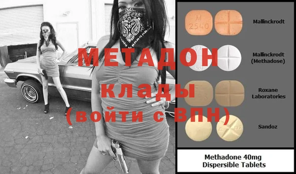 шишки Инта