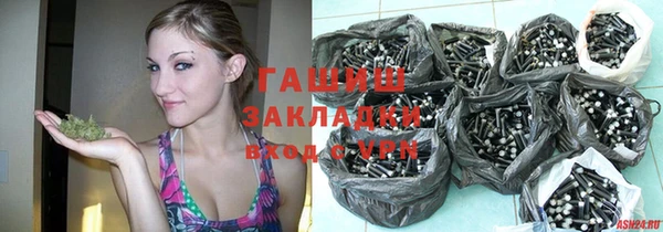 шишки Инта