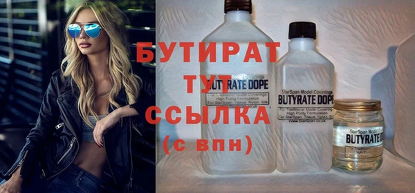 шишки Инта