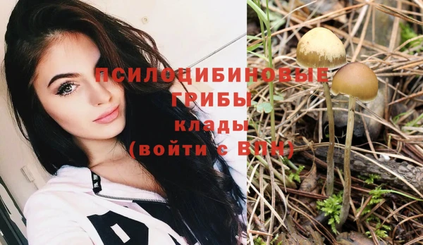 шишки Инта