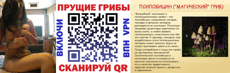 Псилоцибиновые грибы мицелий  Купить где  Касимов 